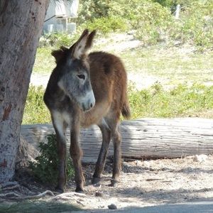 Meet your Posher, Keith